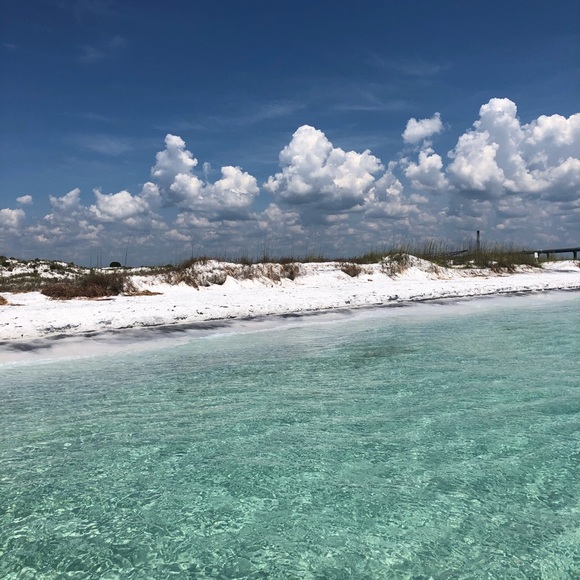 Meet your Posher, Harrison - Picture 1 of 1